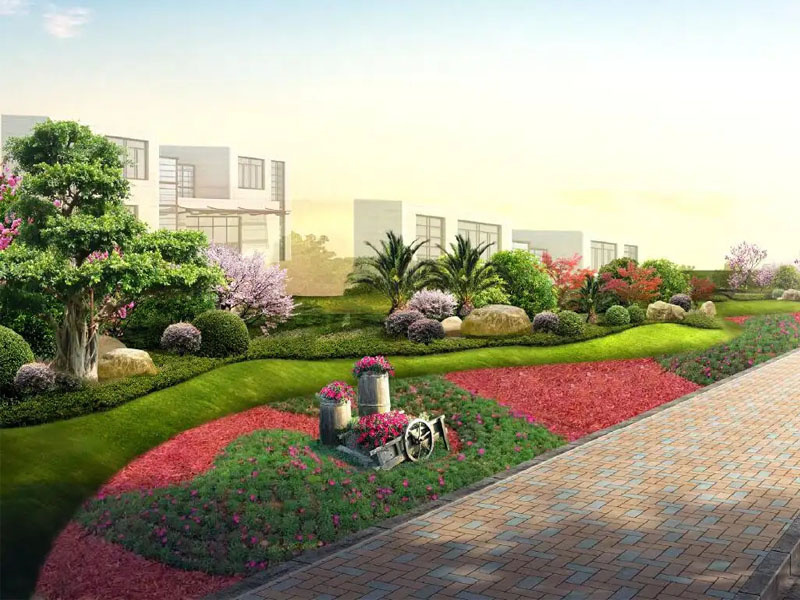 分享一些園林景觀(guān)設(shè)計(jì)的常用植物及其特點(diǎn)